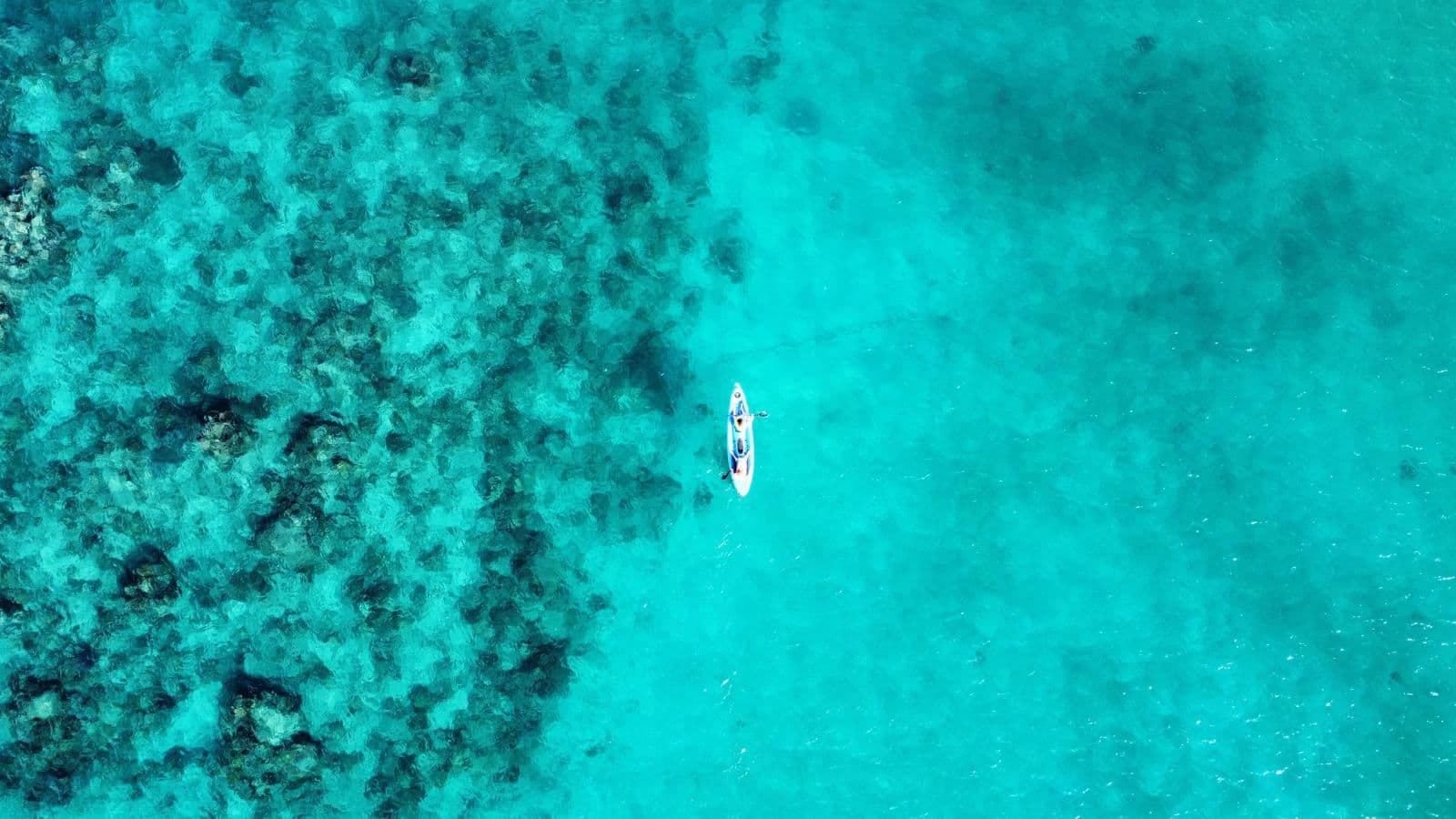 Dive Into a World-Class Wonder