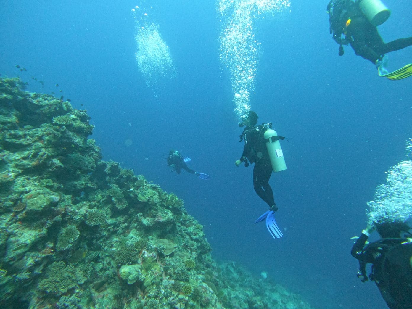 Papageno Resort — Secure Payment