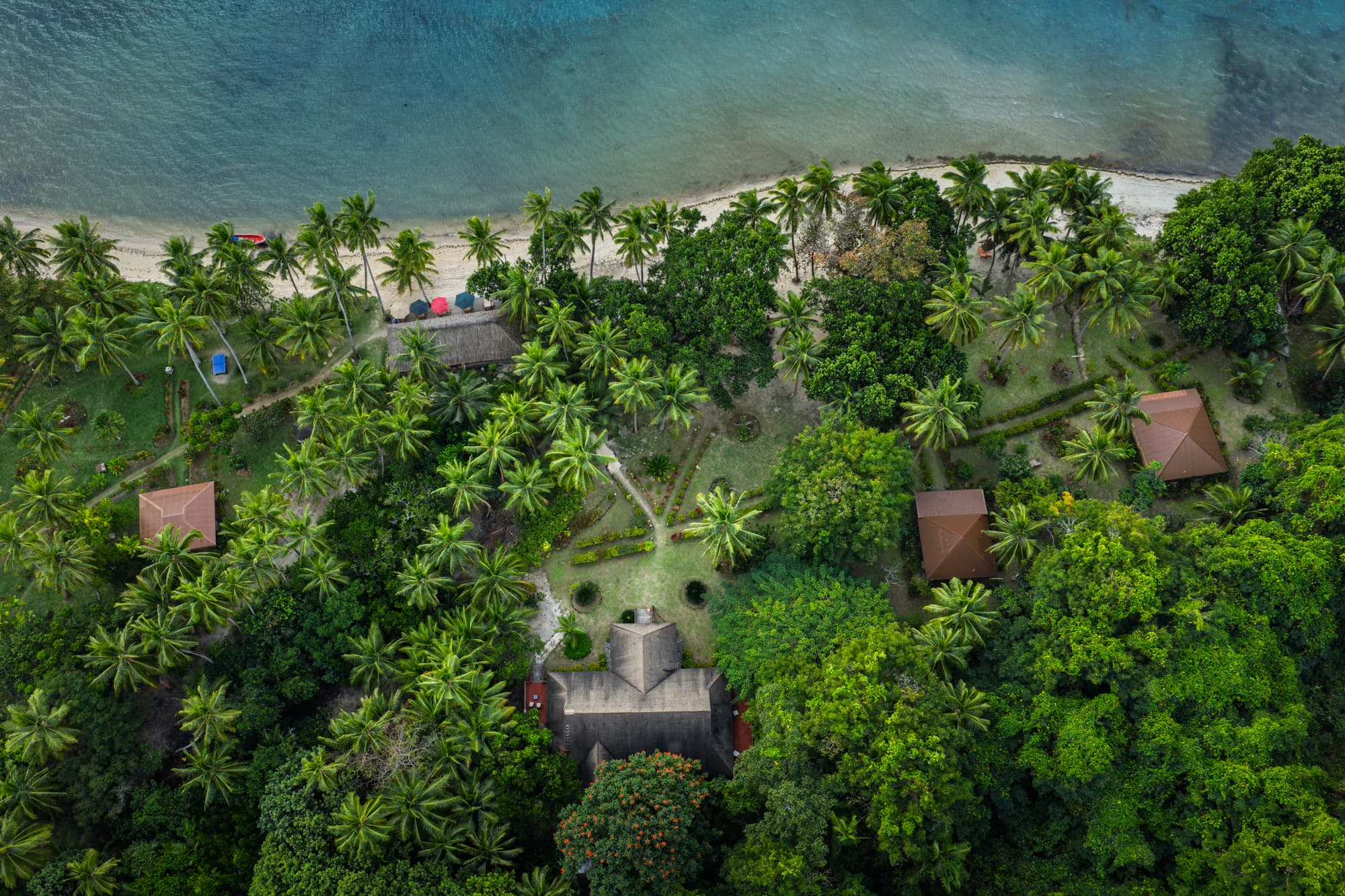 Freshly gathered produce at Papageno Resort