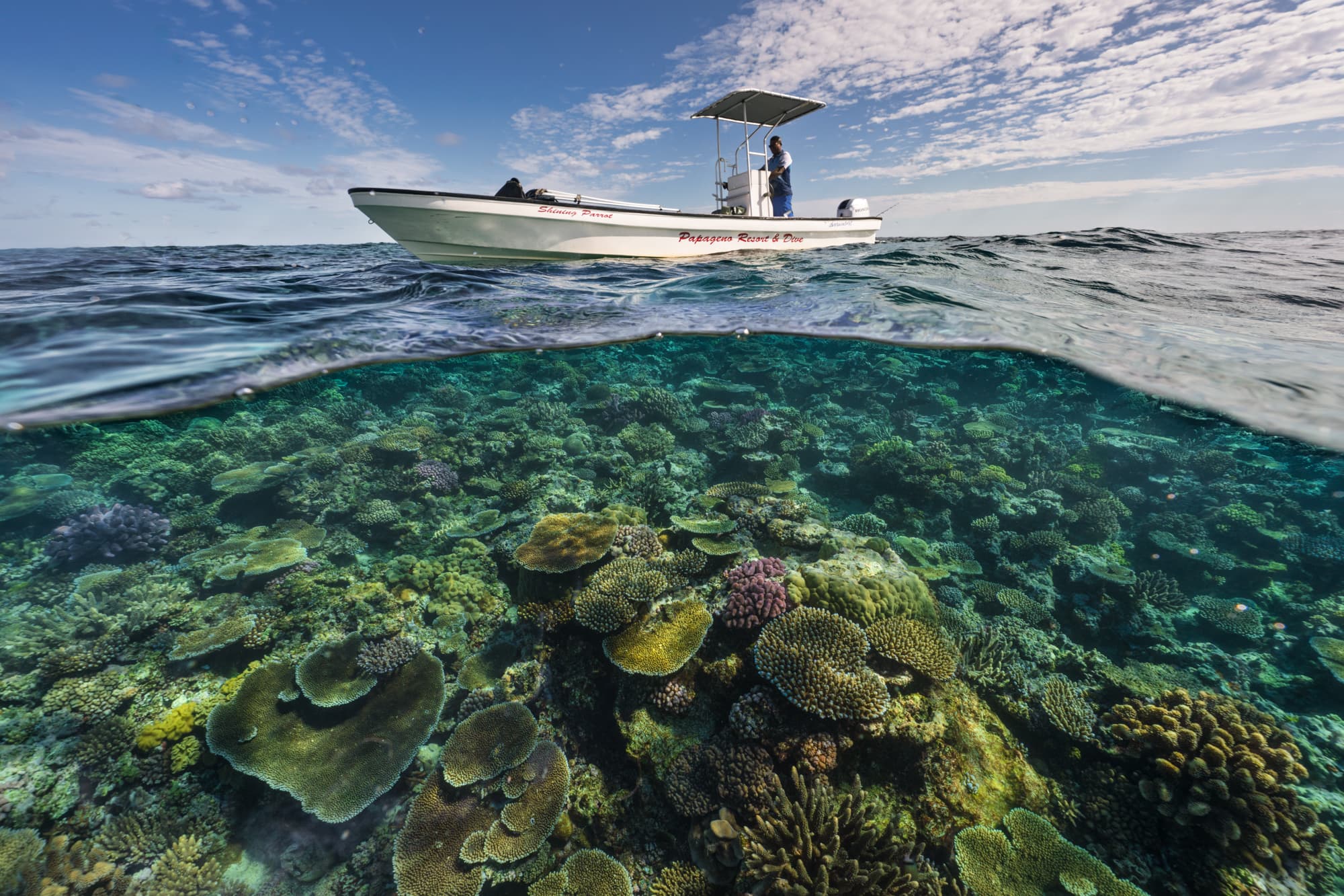 Boat floating above a vibrant coral reef near Papageno Resort & Dive, Kadavu Island, Fiji
