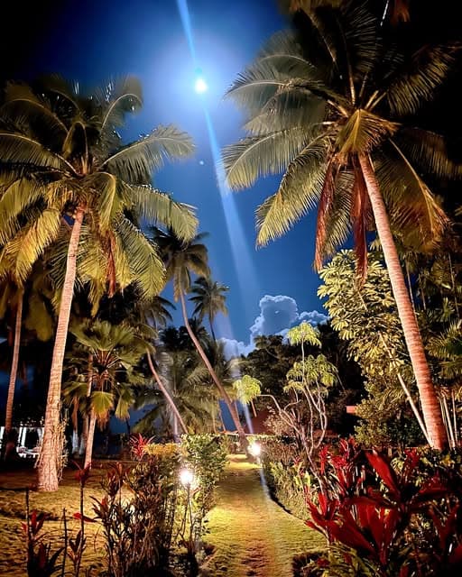 Wedding ceremony at Papageno Resort
